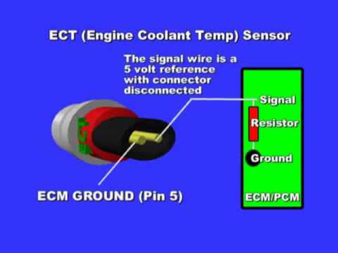 Engine Coolant Temperature Sensor