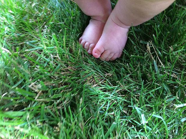Yesterday he did some "earthing". 😂