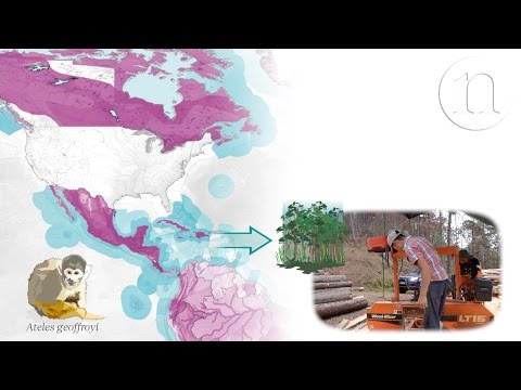 The trade routes that threaten biodiversity