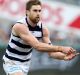 Geelong's Tom Lonergan is set to play his 200th game on Saturday. 