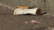 Cigarette butt on pavement litter