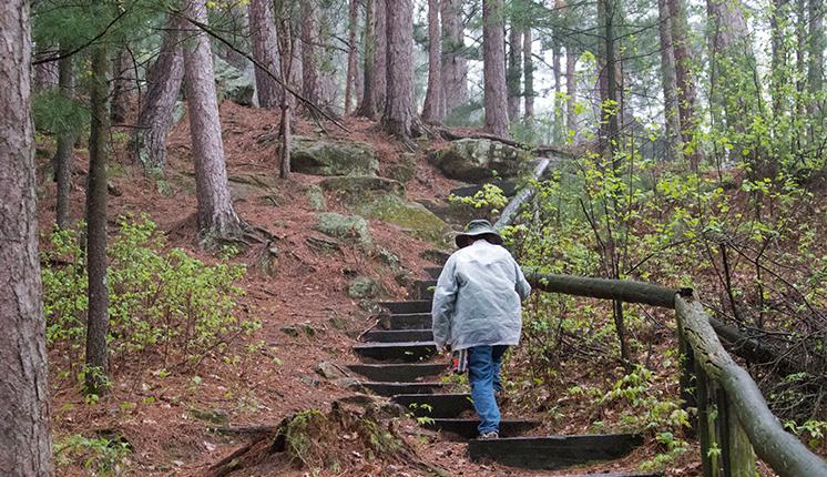 Hiking in Wisconsin forest