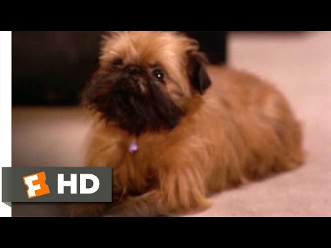 As Good as It Gets (2/8) Movie CLIP - Verdell the Dog (1997) HD