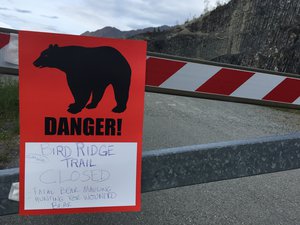 A sign warns people that the trail head is closed on Monday, June 19, 2017, after a fatal bear mauling at Bird Ridge Trail in Anchorage, Alaska.