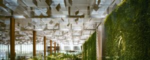 The vertical 'green wall' garden in Terminal 3 at Changi Airport.