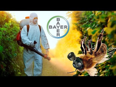 Bayer Study Finds Bayer Pesticides Are Killing Bees - #NewWorldNextWeek