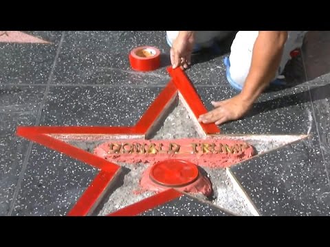 Trump's Hollywood Walk of Fame star destroyed