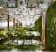 The vertical 'green wall' garden in Terminal 3 at Changi Airport.