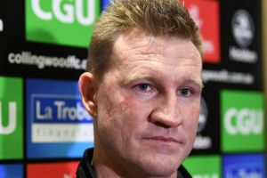 Safe: Nathan Buckley has been told he is safe until the end of the season. 