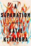 Image of A Separation: A Novel