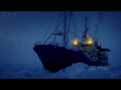 Relaxing White Noise Sounds of Frozen Arctic Ocean with Polar Icebreaker Idling Creating Delta Waves