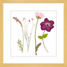  - Spring Wildflowers Collection - Framed Art Prints (WILD03) - Artwork