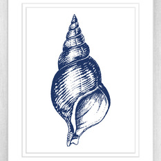  - Navy Conch Shell - Artwork