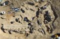 Significant dinosaur remains were found north-east of Winton in 2015. Excavations will resume in mid-August 2017.