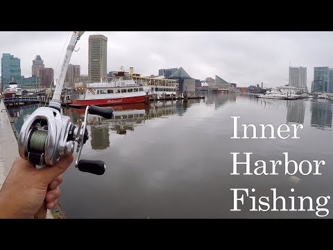 Catching Fish in CONTAMINATED Water!!! (Urban Bank Fishing at the Inner Harbor)