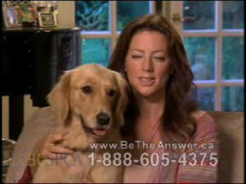 Sarah McLachlan SPCA Commercial