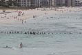 The beachgoers formed a human chain to rescue the stricken swimmers. 