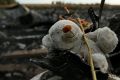 A teddy bear among the debris of flight MH17 at the crash site outside the Ukrainian village of Grabovka in 2014.