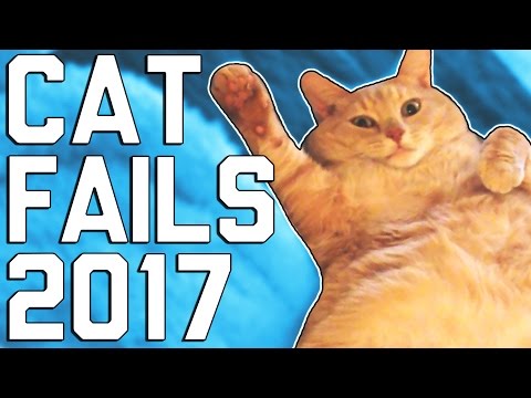 Hilarious Cat Fails (April 2017) || FailArmy