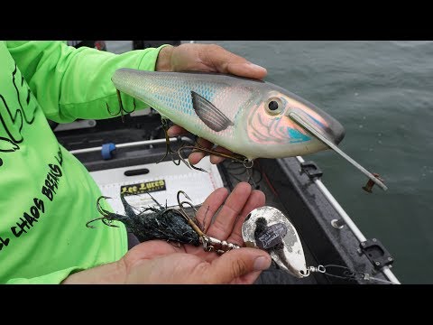 Fishing GIANT Baits For BIG Fish!! Unforgettable Day