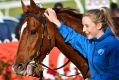 Highly promising filly Ruby Sea after winning at Sandown Hillside last month. 