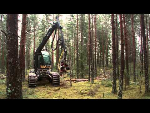 The Swedish forestry model: Environmental atlas of Europe