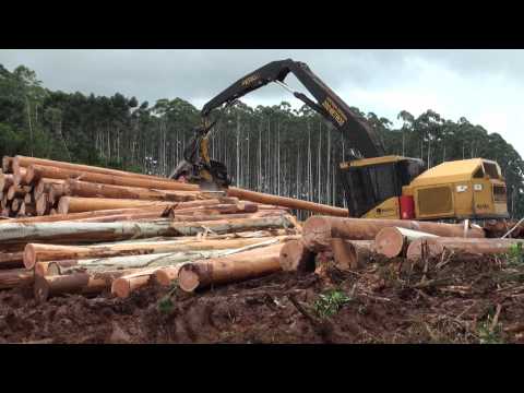 Tigercat: Committed to Forestry