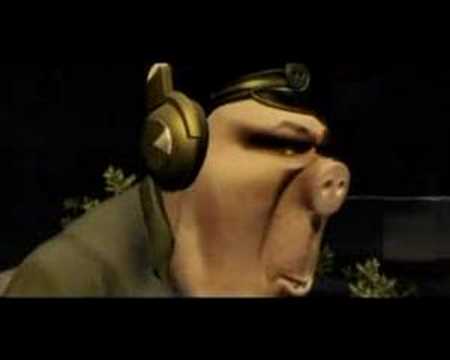 Glukoza - Schweine