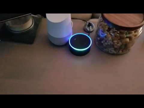 Echo/Google Home infinite loop