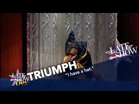 Triumph The Insult Comic Dog Explains Trump's Win