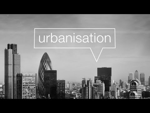 Urbanisation and the growth of global cities