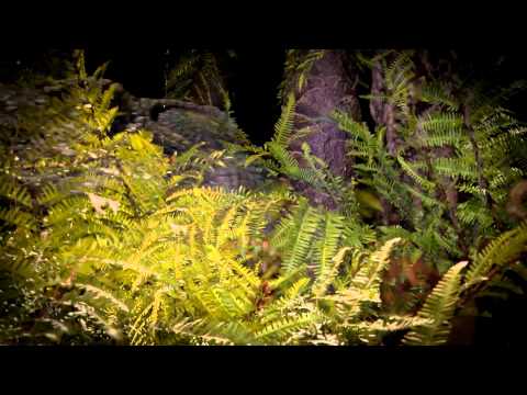 Age of the Dinosaur - Ulster Museum, Belfast (Promotional Video)