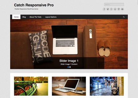 Catch Responsive Pro WordPress Theme