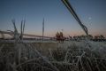 There's been plenty of frost on the field this week at Canberra's Thoroughbred Park race course