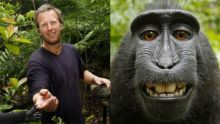 Monkey business over wildlife selfie (Video Thumbnail)
