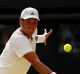 Tomas Berdych wants to halt Roger Federer's Wimbledon fairytale