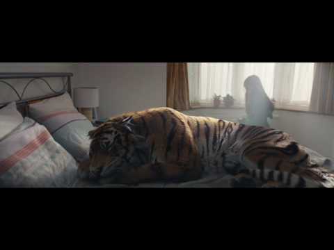 #iProtectTigers: WWF-UK Christmas advert 2016 🐯