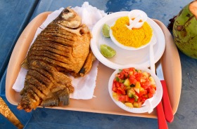 Dine on Tambaqui, a relative of the piranha.