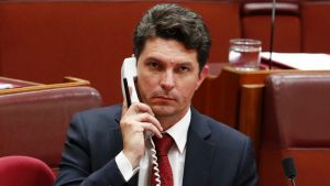 Greens Senator Scott Ludlam during question time in the Senate at Parliament House in Canberra, on Tuesday 7 February ...