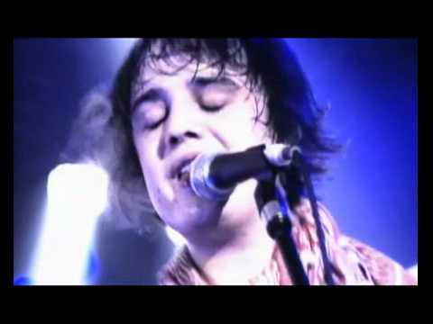 The Libertines  Up the bracket Live