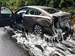 An Oregon highway looked like the scene out of a science-fiction film after a truck filled with eels overturned on Thursday