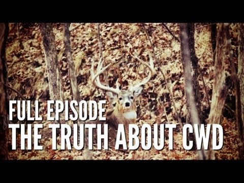 Documentary on Chronic Wasting Disease | Deer & Wildlife Stories Special Edition