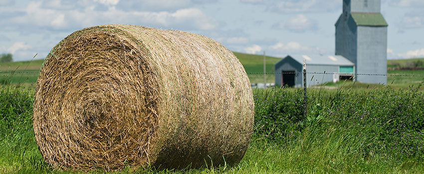 Agricultural land in Roosevelt County