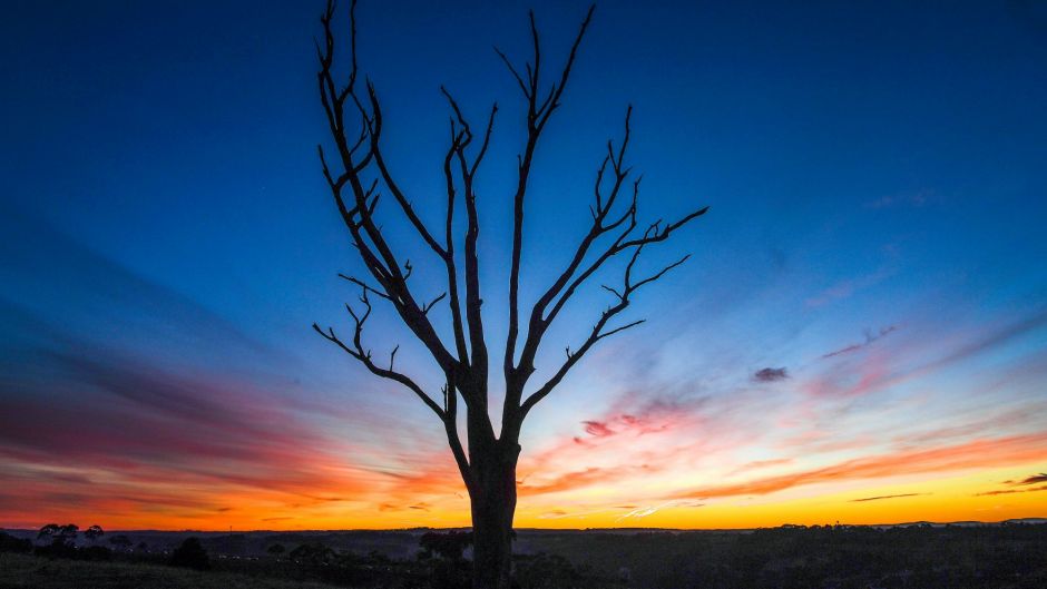 Cold start to the day in Melbourne with temperatures dropping below zero in outer suburbs.