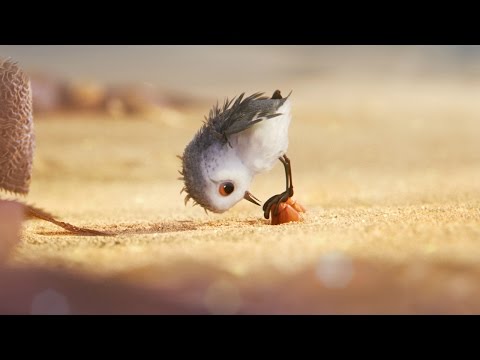 Piper Disney Pixar - That was so cute Bird