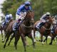 No Everest: Harry Angel takes the July Cup  at Newmarket but is unlikely to come Sydney 