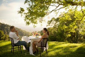 Spicers Clovelly Estate is a drawcard of the Sunshine Coast's hinterland.