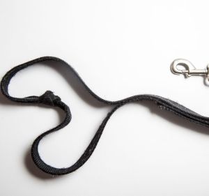 Briohny Doyle's dog leash.