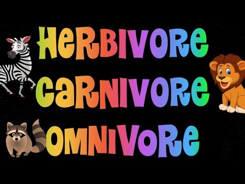 Herbivore, Carnivore, Omnivore Song