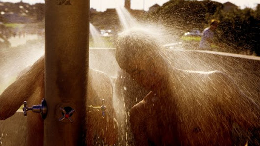 Sunshine Coast women filmed showering: police